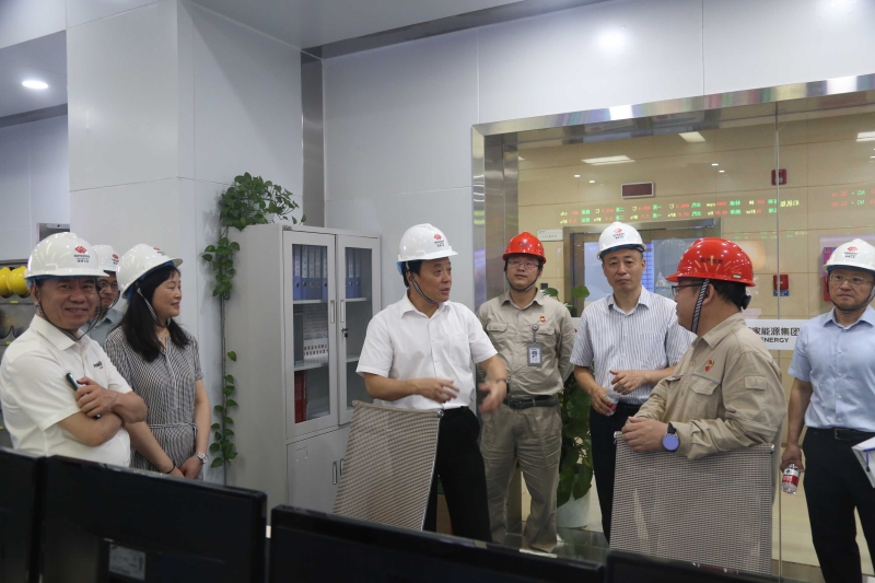 在蚌省人大代表专题调研电力安全保供情况