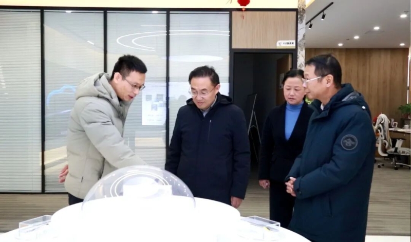 王波到部分县区调研