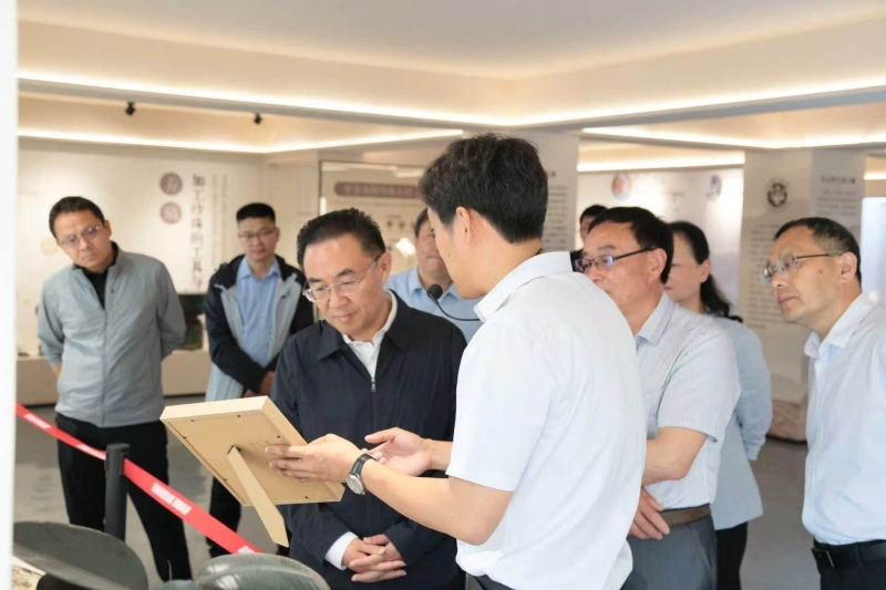 王波调研我市珍珠产业发展情况